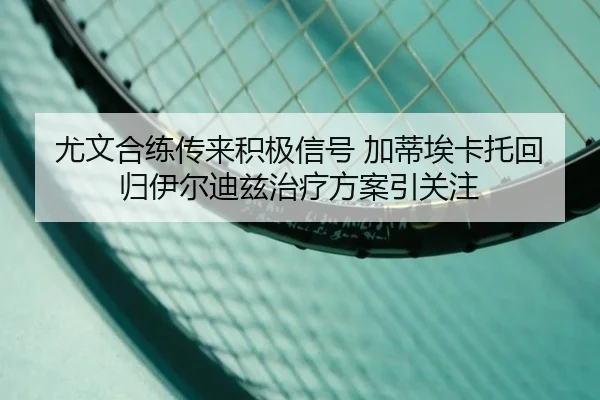 尤文合练传来积极信号 加蒂埃卡托回归伊尔迪兹治疗方案引关注